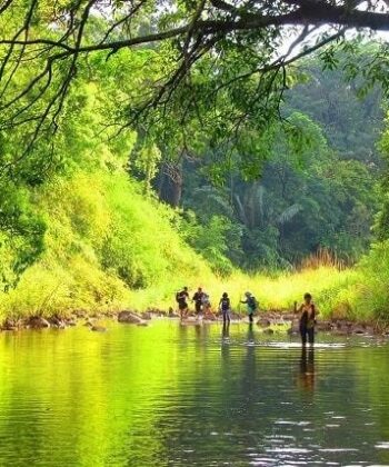 du lich binh phuoc kham pha dia danh van hoa va am thuc 945128