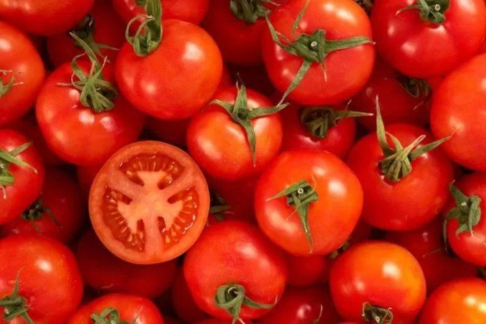 Những lưu ý khi sử dụng cà chua (Nguồn: Internet)
