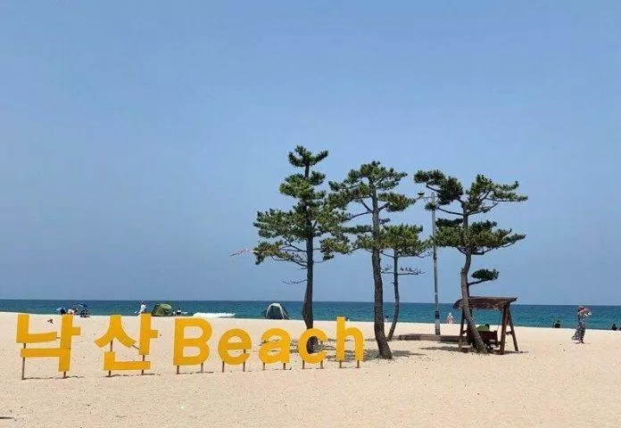 Bãi biển Naksan - Yangyang - nguồn: Internet