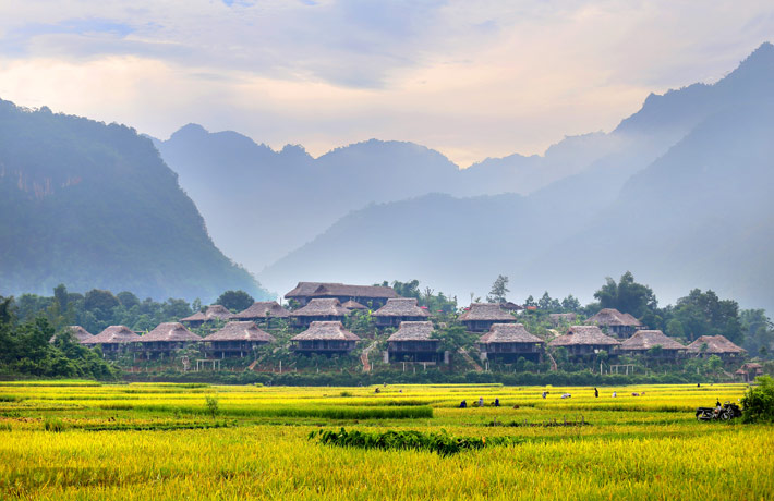 ban lac mai chau