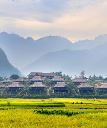 ban lac mai chau