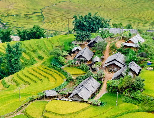 ban-lao-chai