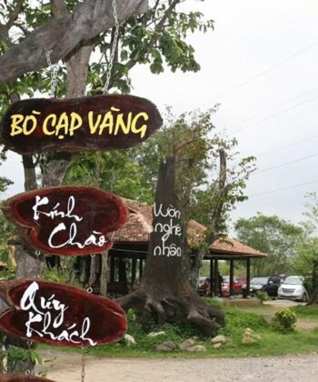 bò cạp vàng