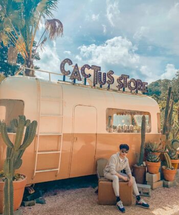 cactus store kombi land da lat