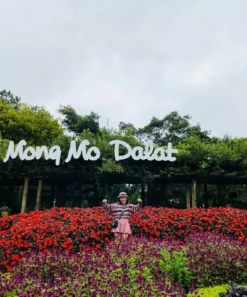 canh doi mong mo
