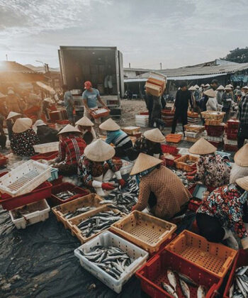 cho ben da vung tau