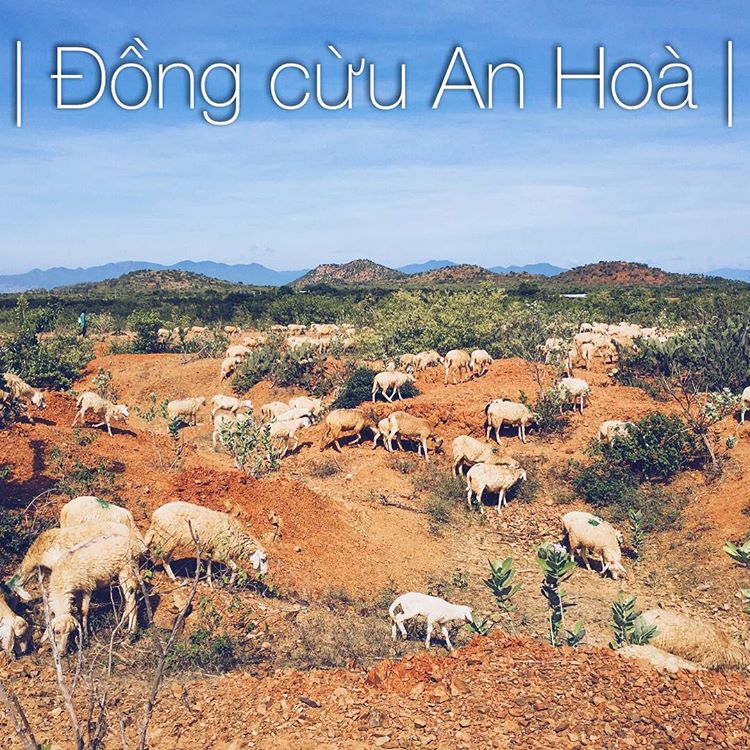 dong cuu an hoa