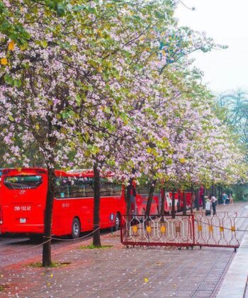 ha-noi-dia-diem-song-ao-ha-noi-4