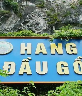 hang-dau-go