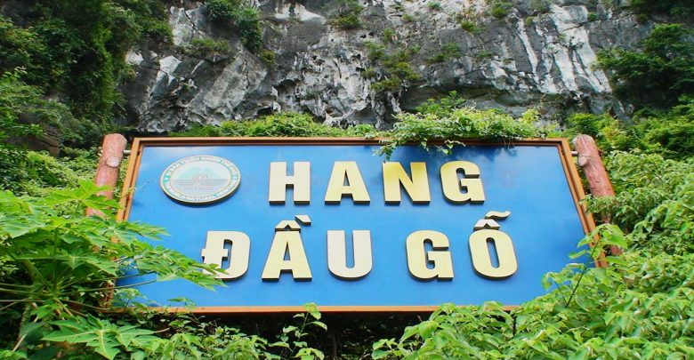 hang-dau-go