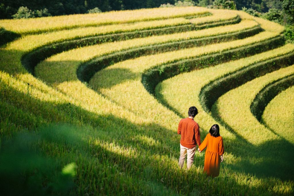 mu cang chai mua lua chin