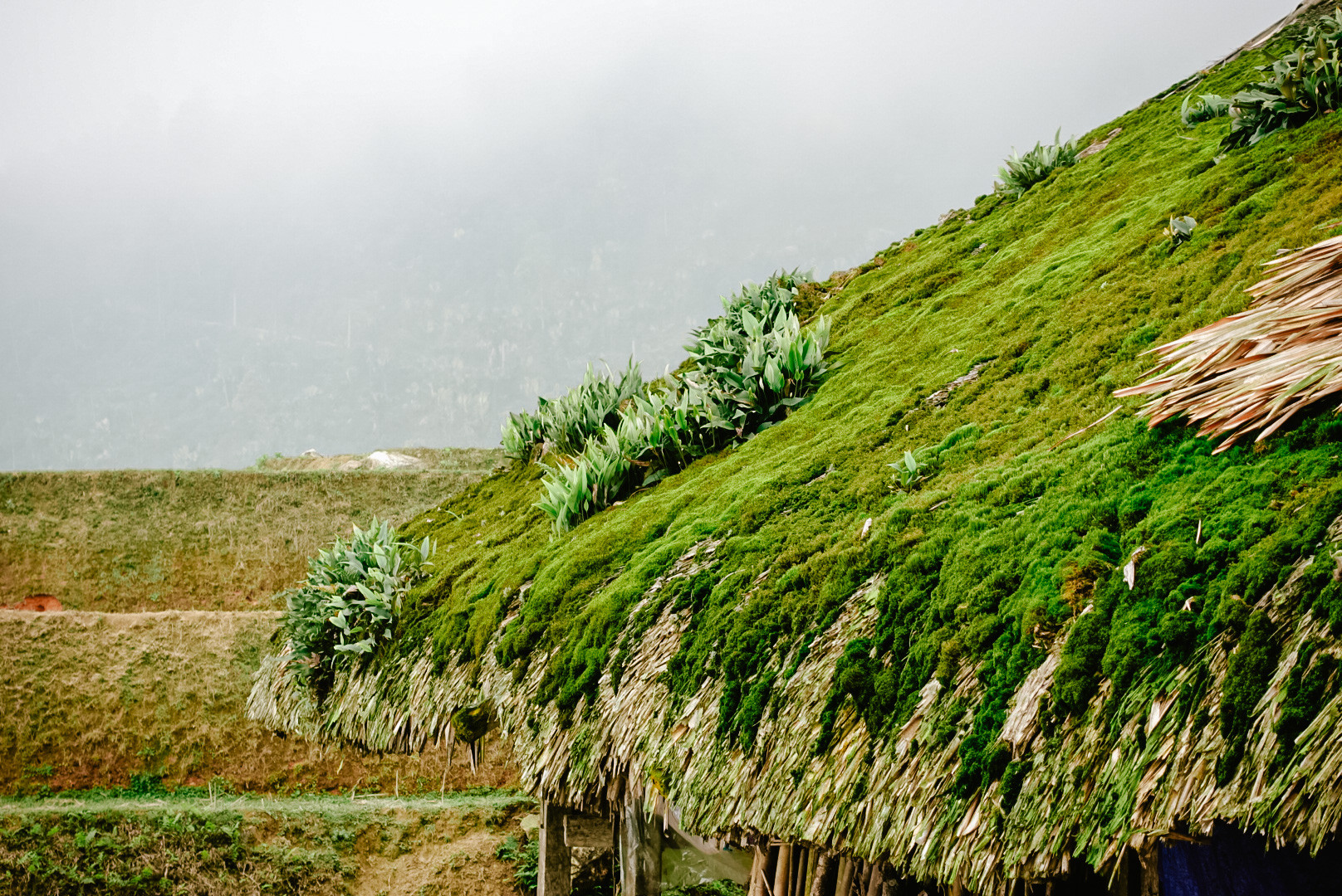 nha reu ha giang 2 1675