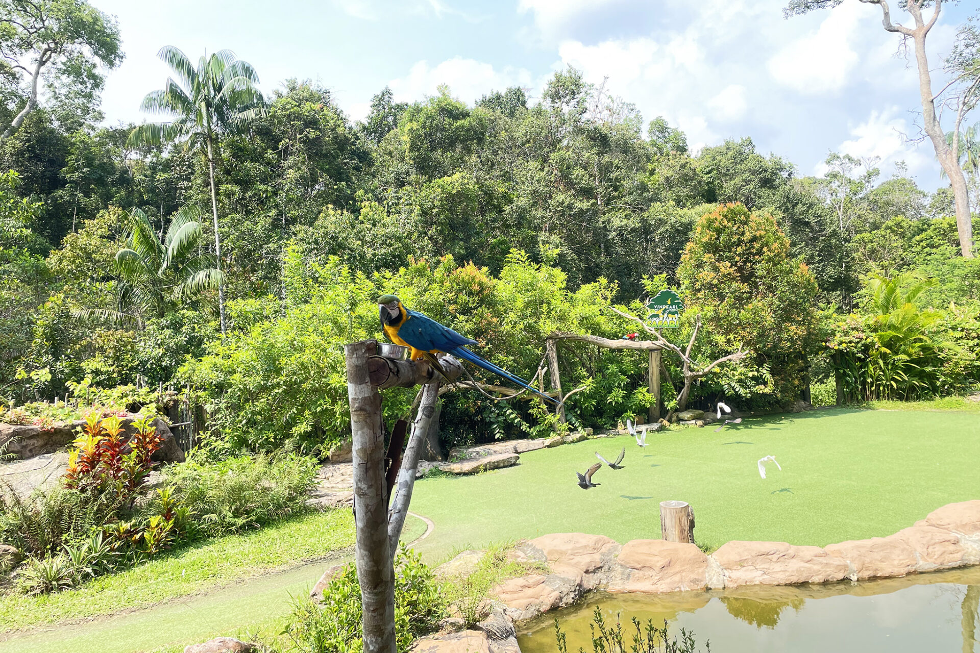 safari phú quốc