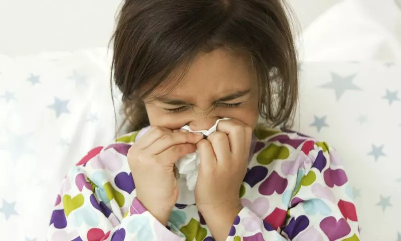 Vi rút cúm lây lan nhanh, bùng phát vào khoảng tháng 11 đến tháng 4. (Ảnh: Nguồn Internet)