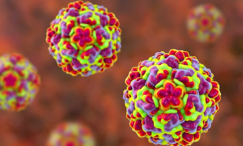 Vi rút Rhinovirus tác nhân chính gây nên cảm lạnh vào hè. (Ảnh: Nguồn Internet)