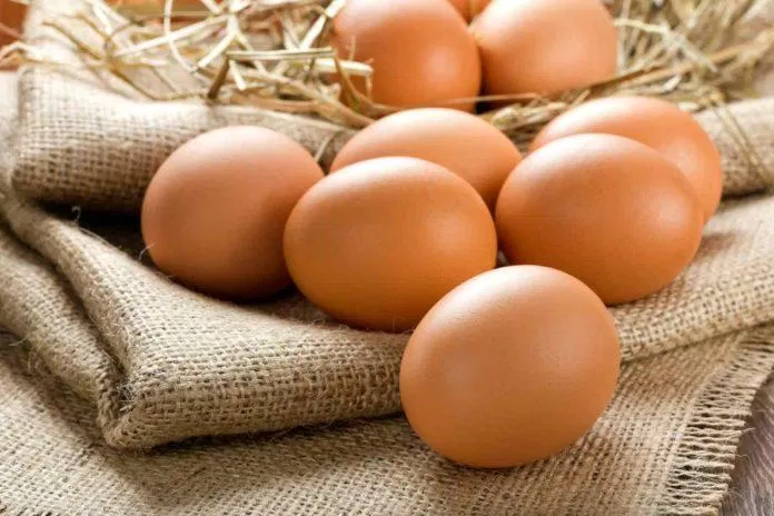 Nên ăn trứng mỗi ngày để cung cấp nhiều dưỡng chất nhưng ít calo (Nguồn: Internet)