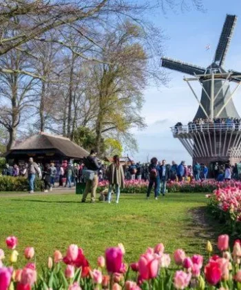 Vườn hoa Keukenhof - Hà Lan - nguồn: Internet
