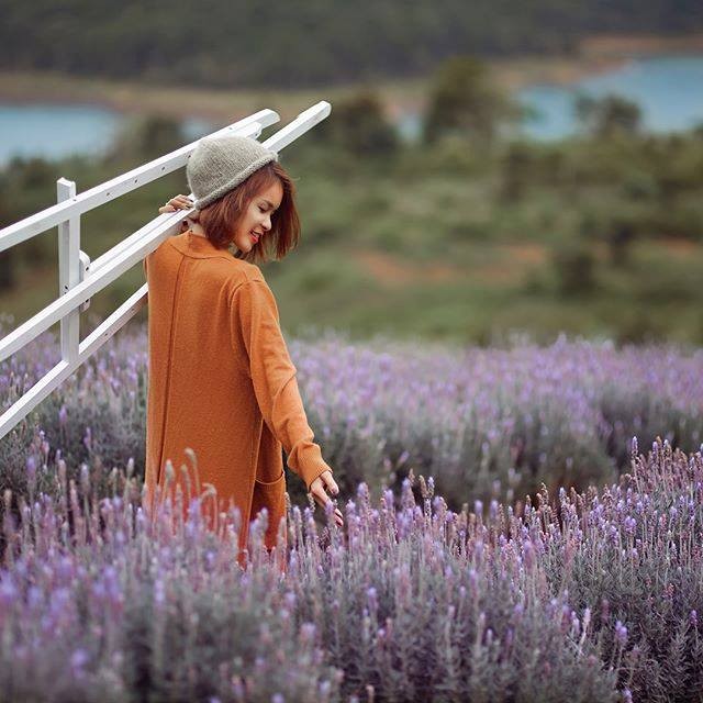 vuon hoa lavender da lat halo.vietnam