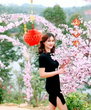 vuon hoa tam dao dep nhu bong lai tien canh