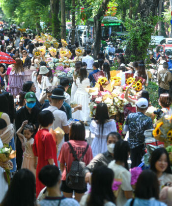 w ha noi 1 9 25 1 1713