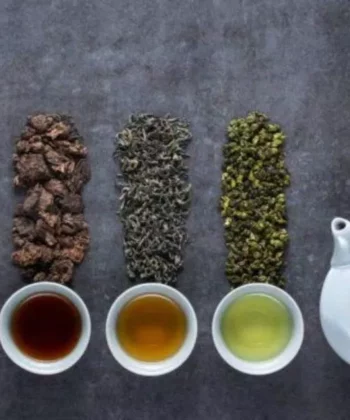 Một số loại trà phổ biến (Nguồn: Internet)