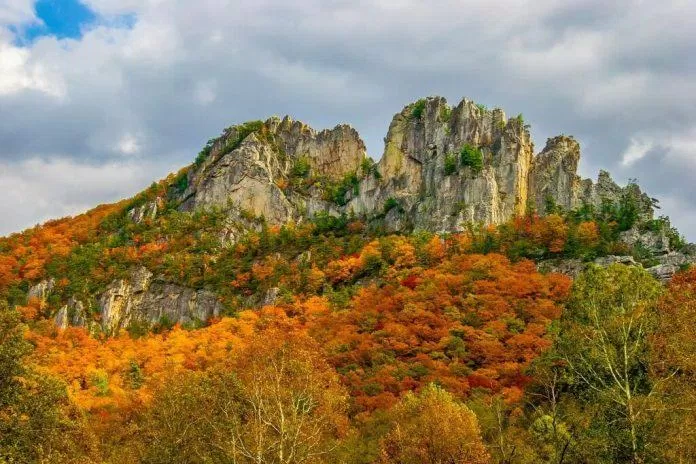 Seneca Rocks (Ảnh: Internet)