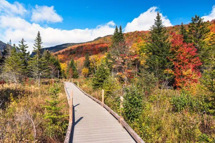 Công viên Quốc gia Vermont - nguồn: Internet